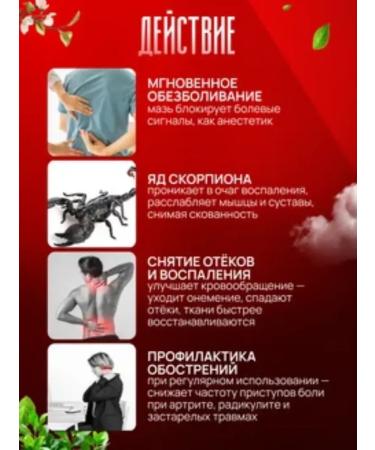 Below the baseboard Anesthetic ointment with scorpion poison for joints and muscles - Buy Online on GoSupps.com