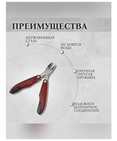 Queen fair Pedicier nippers with a laser file - Buy Online on GoSupps.com