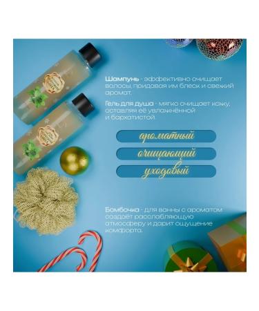 SB BEAUTY Cosmetic set "Snow Kingdom" with the aroma of mint - Buy Online on GoSupps.com