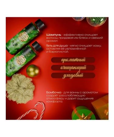 SB BEAUTY Cosmetic set "Winter Blizzard" with mint aroma - Buy Online on GoSupps.com