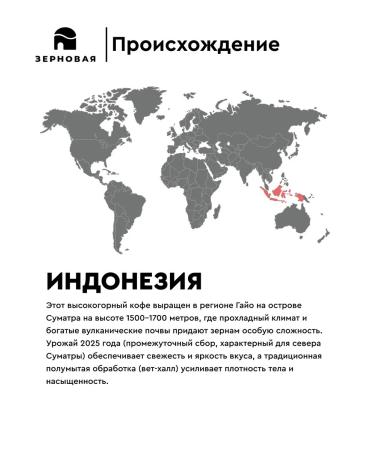 Cereals Grain coffee under espresso Indonesia Loars Biasa 1kg - Buy Online on GoSupps.com