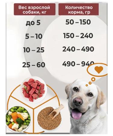 LongEared Pilot Dry food for dogs 3.7 kg - Buy Online on GoSupps.com