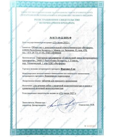 Vetfarm Tablets for the treatment of dogs and cats Fortover 20 mg - 25pcs - Buy Online on GoSupps.com