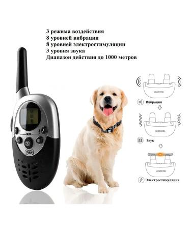 Electronic collar for dogs Amazin Trainer Pet 613 - Buy Online on GoSupps.com