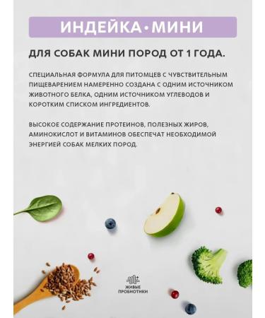 Grandorf Dry food for dogs of small breeds turkey 6 kg - Buy Online on GoSupps.com