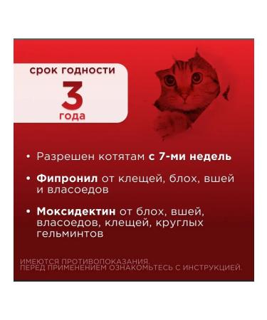 Neoterica Insectal Combo K from ticks fleas cat Helmits 4-8 kg - Buy Online on GoSupps.com