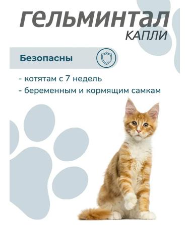 Neoterica Antiphelmintic drops for cats 4-10 kg 1 pipette - Buy Online on GoSupps.com