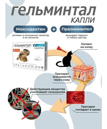 Neoterica Antiphelmintic drops for cats 4-10 kg 1 pipette - Buy Online on GoSupps.com