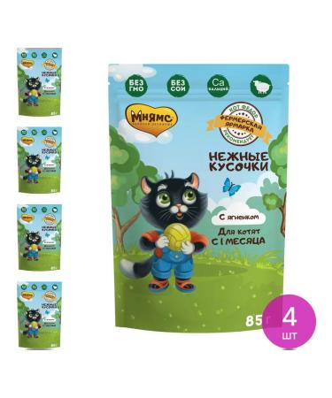 Mnyams Cat food for moist delicate pieces with lamb 85g 4 pcs