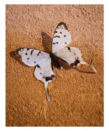 Flawless Jade Breathable 03 Mist - Buy Online on GoSupps.com