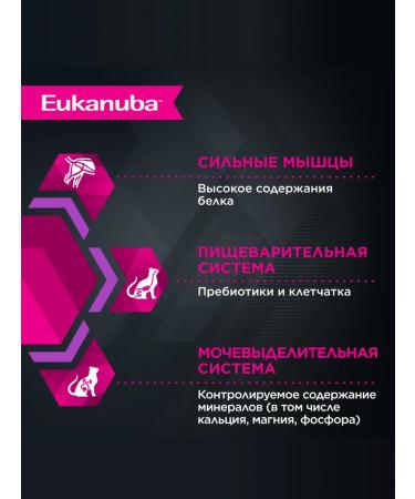 Eukanuba Wet feed for kittens chicken 85 g x 56 pcs - Buy Online on GoSupps.com