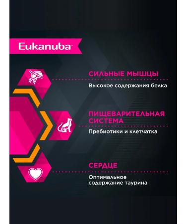 Eukanuba Wet feed for dogs beef 100 g x 56 pcs - Buy Online on GoSupps.com