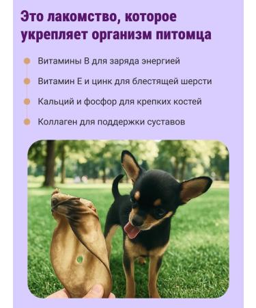 Canezeta Beef ears for dogs 2 pieces - Buy Online on GoSupps.com