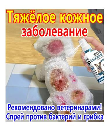 Spray for the treatment of skin diseases in dogs