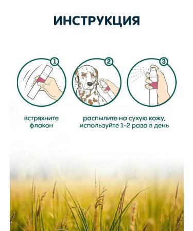 Spray for the treatment of skin diseases in dogs - Buy Online on GoSupps.com