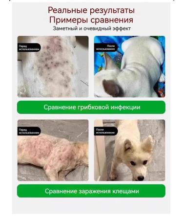 Spray for the treatment of skin diseases of dogs - Buy Online on GoSupps.com