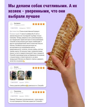 Canezeta T -shirt of beef for dogs 500 g - Buy Online on GoSupps.com