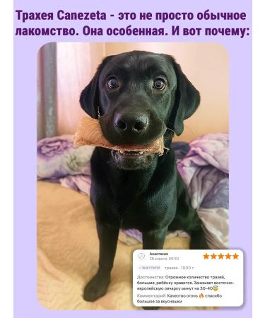 Canezeta T -shirt of beef for dogs 500 g - Buy Online on GoSupps.com