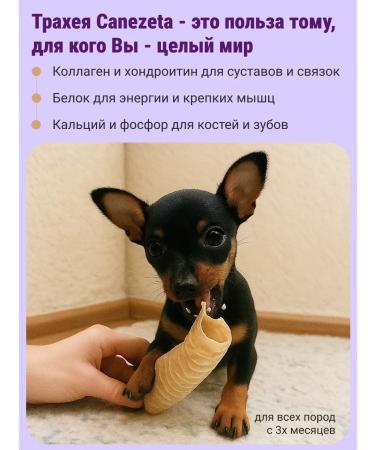 Canezeta T -shirt of beef for dogs 500 g - Buy Online on GoSupps.com