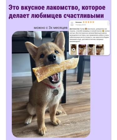 Canezeta I lived beef for dogs 500 g - Buy Online on GoSupps.com