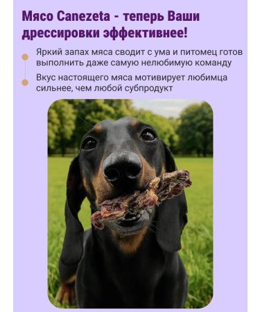Canezeta Beef meat for dogs 200 g - Buy Online on GoSupps.com