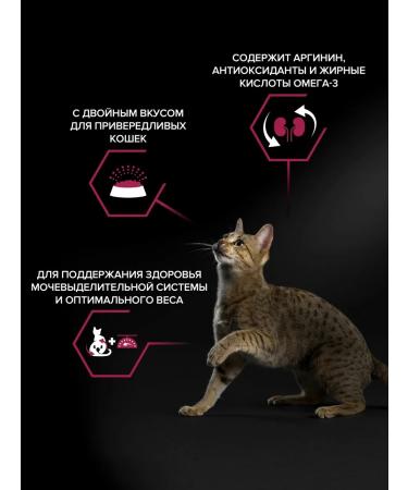 PRO PLAN Dry food for cat -to -taste cats 800 g - Buy Online on GoSupps.com