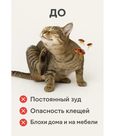 RK3110 Anti -blossomic collar for cats - Buy Online on GoSupps.com