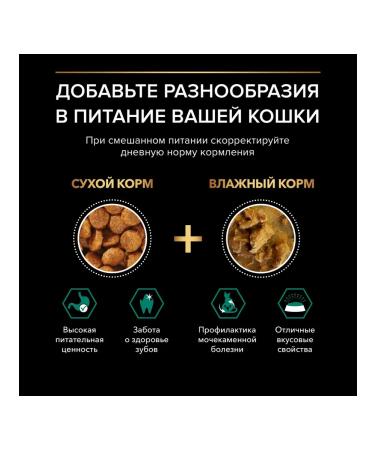 PURINA ONE Dry food for adult cats salmon 800 g - Buy Online on GoSupps.com