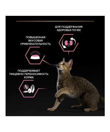 PURINA ONE Dry food for cats for digestion of a turkey 800 g - Buy Online on GoSupps.com