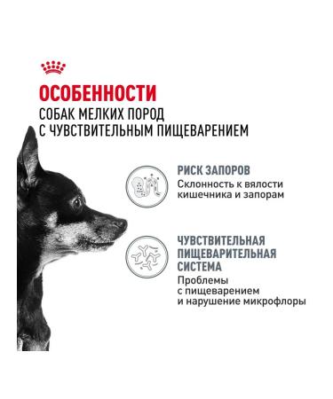 ROYAL CANIN Feed for dogs with sensitive digestion 1 kg. x 2 pcs - Buy Online on GoSupps.com