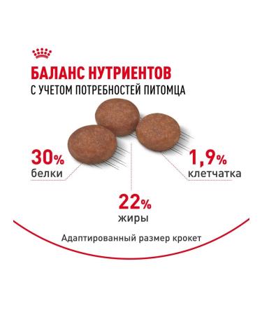 ROYAL CANIN Feed for dogs with sensitive digestion 1 kg. x 2 pcs - Buy Online on GoSupps.com