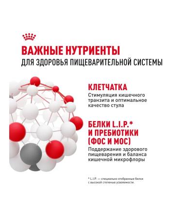 ROYAL CANIN Feed for dogs with sensitive digestion 1 kg. x 2 pcs - Buy Online on GoSupps.com