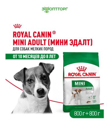 ROYAL CANIN Dry food for dogs of small breeds 800 g 2 pcs