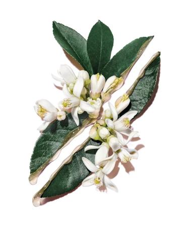 Yves Saint Laurent Moisturizing face lotion with vitamins E and B3 - Buy Online on GoSupps.com