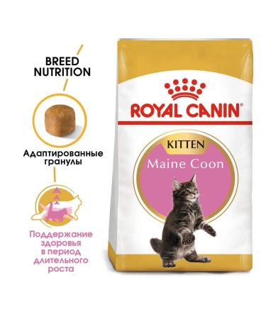 ROYAL CANIN Dry food for kittens of breed main-kun bird 2 kg. x 2 pcs - Buy Online on GoSupps.com