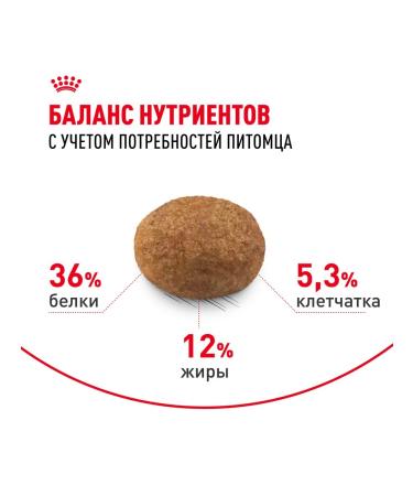 ROYAL CANIN Bird food for sterilized cats 400 g 2 pcs - Buy Online on GoSupps.com