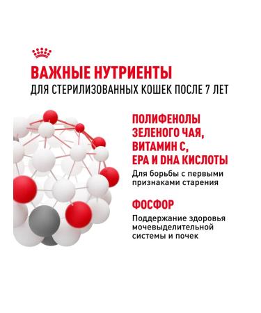 ROYAL CANIN Bird food for sterilized cats 400 g 2 pcs - Buy Online on GoSupps.com