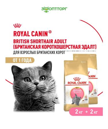 ROYAL CANIN Feed for the British breed bird 2 kg. x 2 pcs