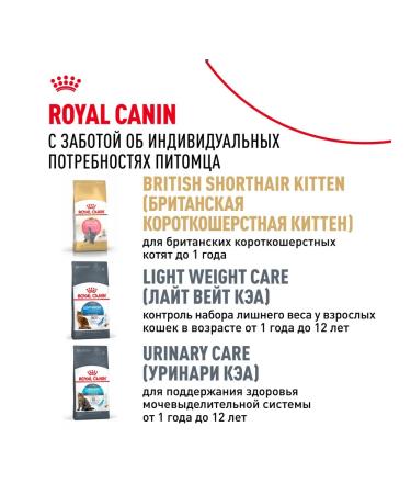 ROYAL CANIN Feed for the British breed bird 2 kg. x 2 pcs - Buy Online on GoSupps.com