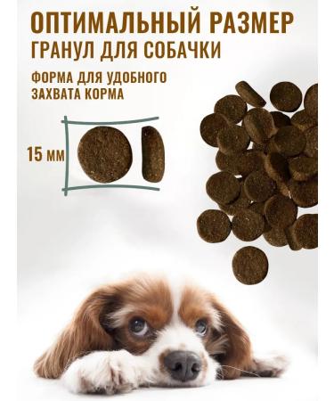 Country delicacies Holistic food for dogs dry turkey with rice 12 kg - Buy Online on GoSupps.com