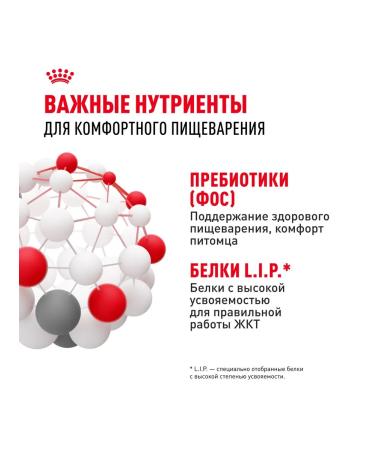 ROYAL CANIN Cat food with sensitive digestion of 2 kg x 2 pcs - Buy Online on GoSupps.com