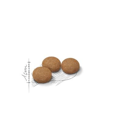 ROYAL CANIN Dry food for sterilized cats 400 gr. x 2 pcs - Buy Online on GoSupps.com