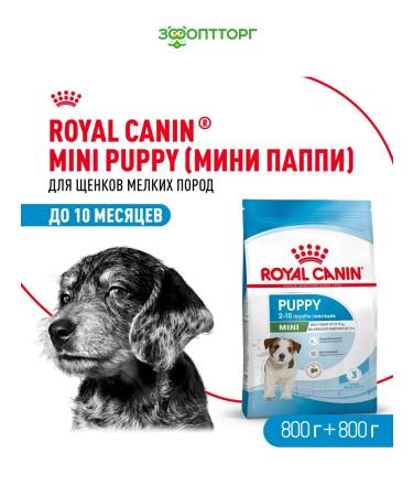 ROYAL CANIN Dry food for small breed puppies 800 g 2 pcs