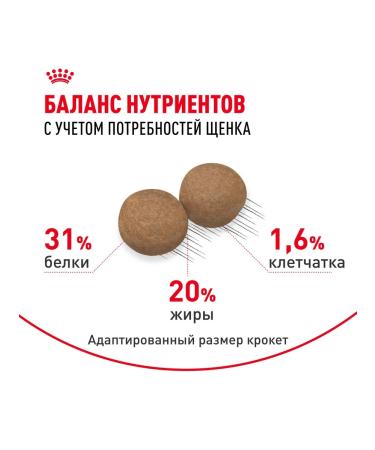 ROYAL CANIN Dry food for small breed puppies 800 g 2 pcs - Buy Online on GoSupps.com