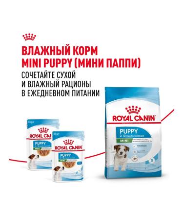 ROYAL CANIN Dry food for small breed puppies 800 g 2 pcs - Buy Online on GoSupps.com