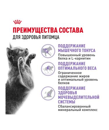 ROYAL CANIN Dry food for sterilized cats poultry 400 g 2 pcs - Buy Online on GoSupps.com