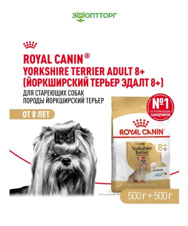 ROYAL CANIN Feed for the breed Yorkshire Terrier Bird 500 g 2 pcs