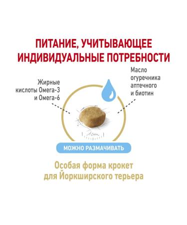 ROYAL CANIN Feed for the breed Yorkshire Terrier Bird 500 g 2 pcs - Buy Online on GoSupps.com