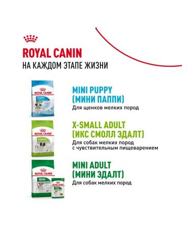 ROYAL CANIN Dry food for miniature breed puppies 500 g 2 pcs - Buy Online on GoSupps.com
