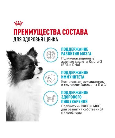 ROYAL CANIN Dry food for miniature breed puppies 500 g 2 pcs - Buy Online on GoSupps.com